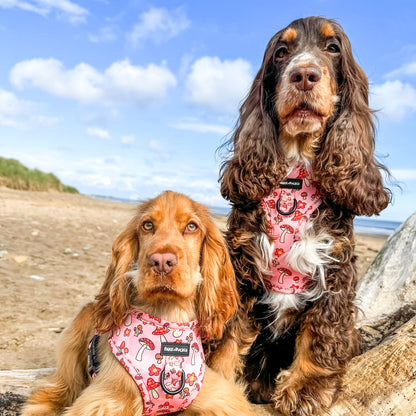 Mushbloom Adjustabel Harness