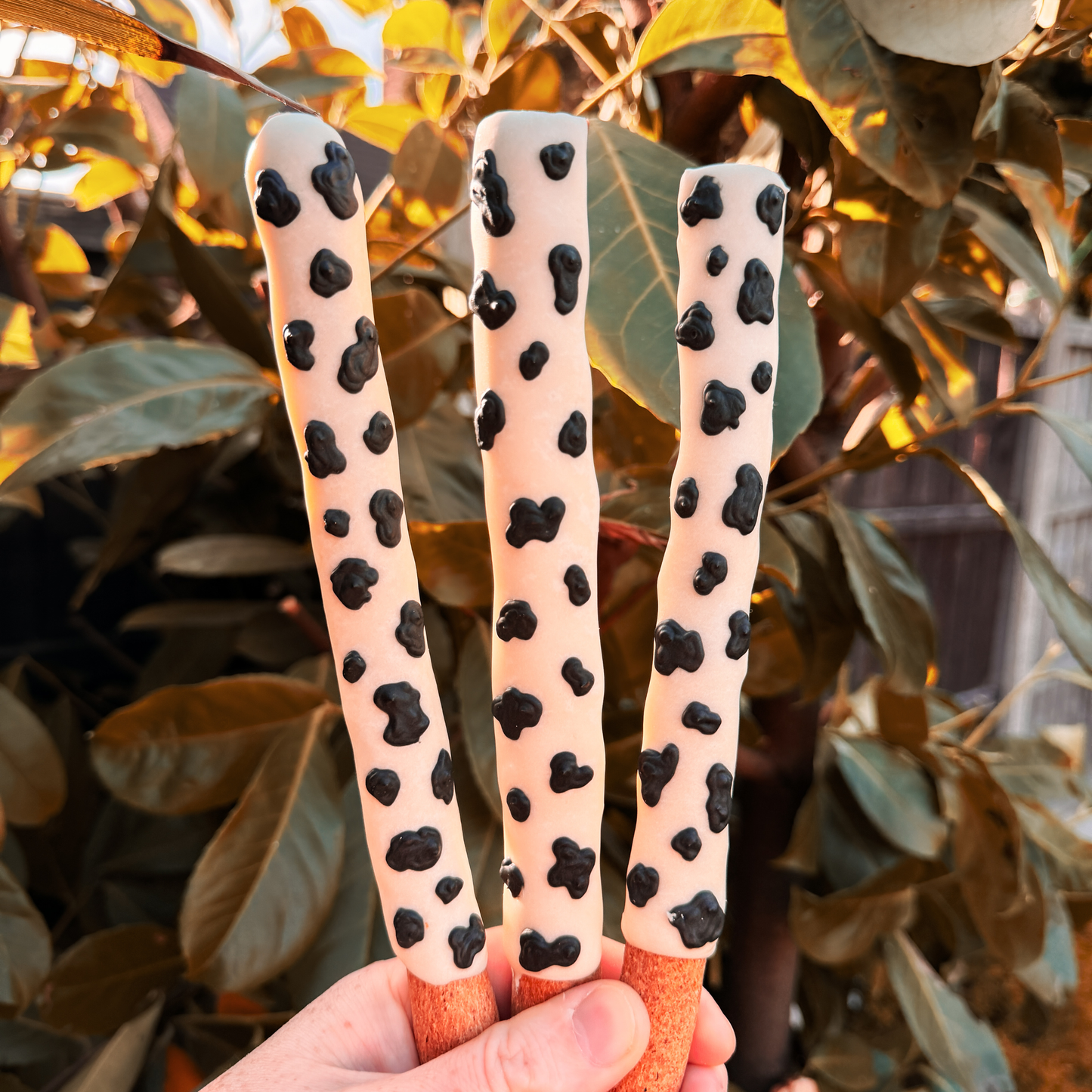 Bicsticks Themed Iced Treats