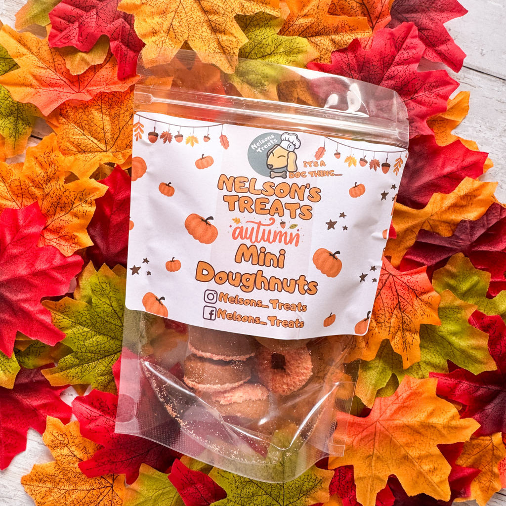 Autumn Mini Doughnuts