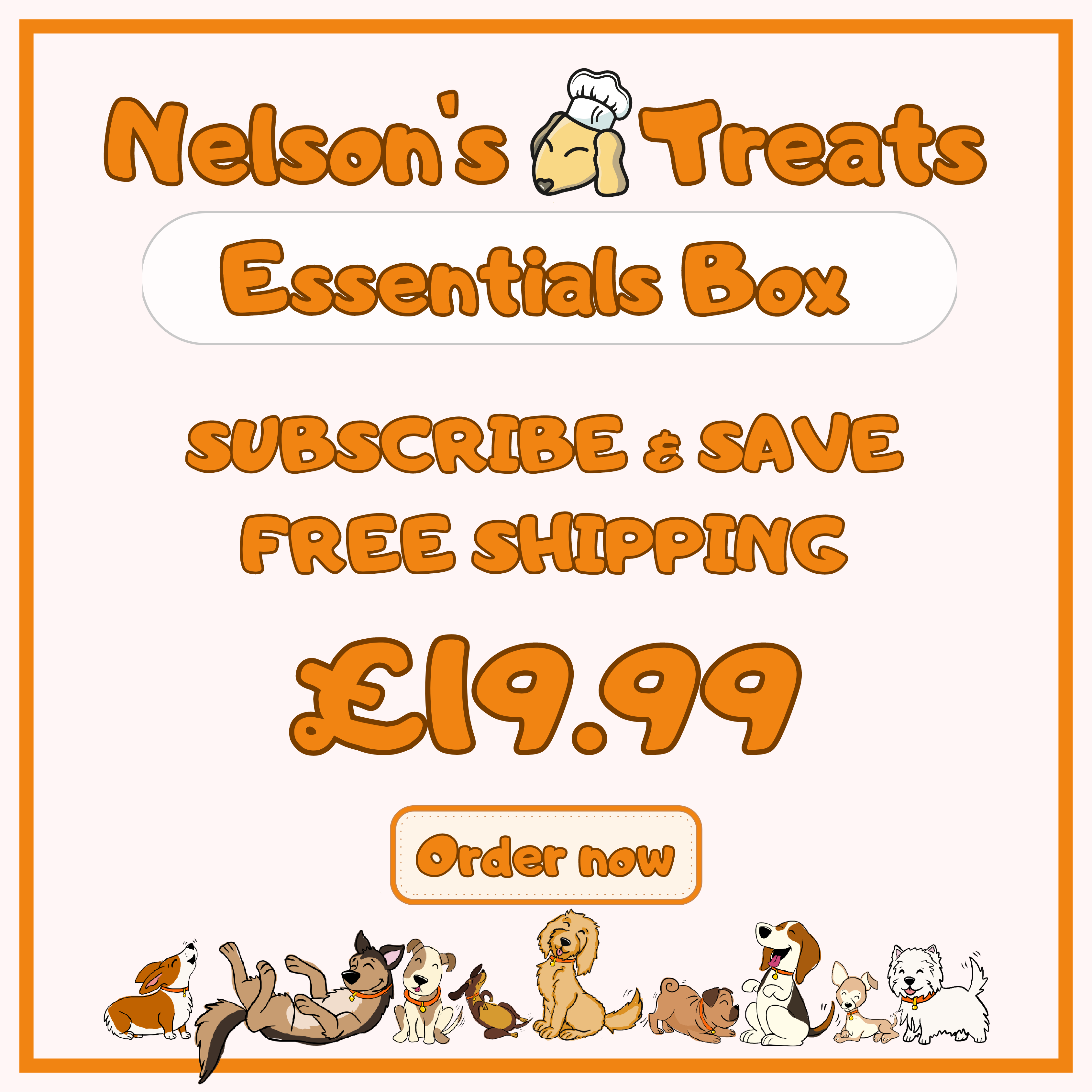 Monthly Essentials Treats Box – Nelson’s Treats