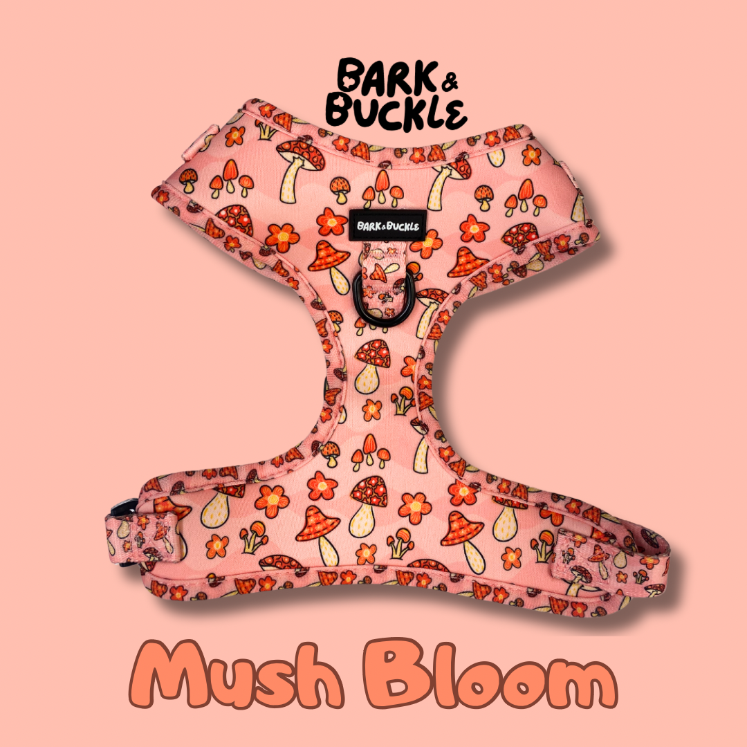 Mushbloom Adjustabel Harness