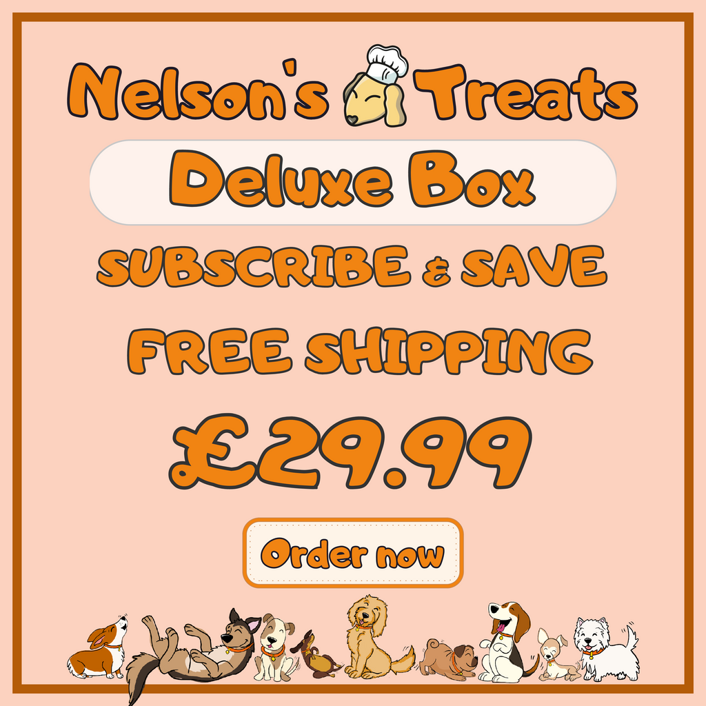 Monthly Deluxe Treat Box