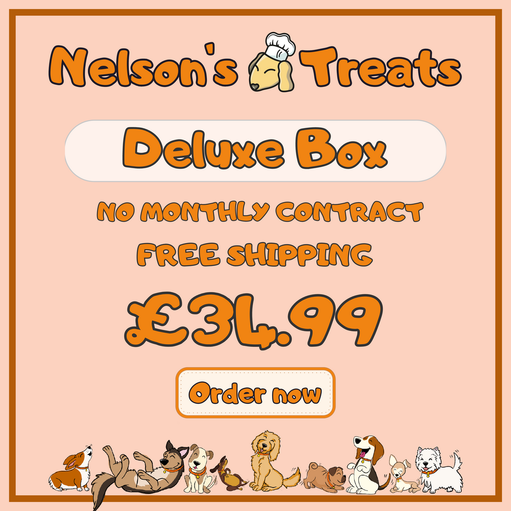 Deluxe Treat Box