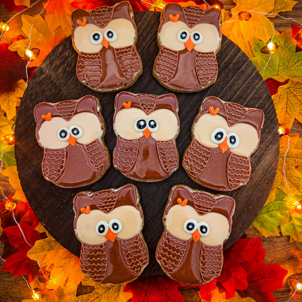 Owl Iced Treat