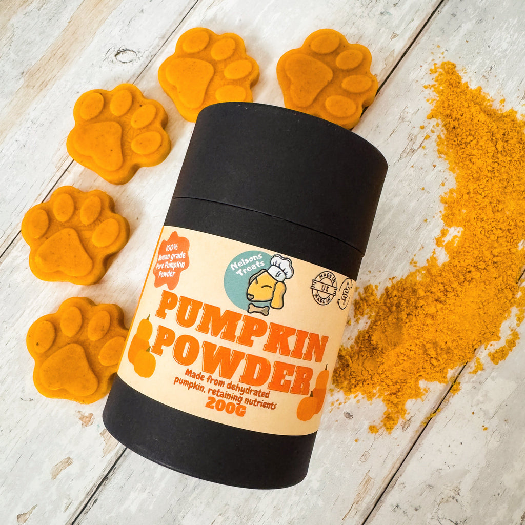 Pumpkin Powder