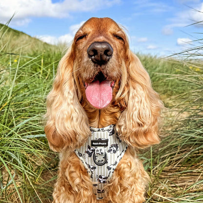 Bamboozled Adjustabel Harness