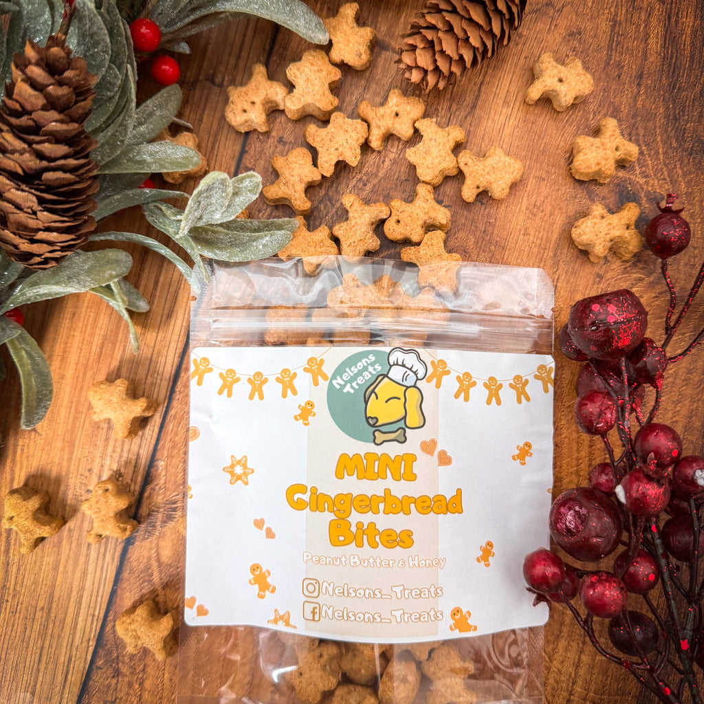 Festive Training Treats