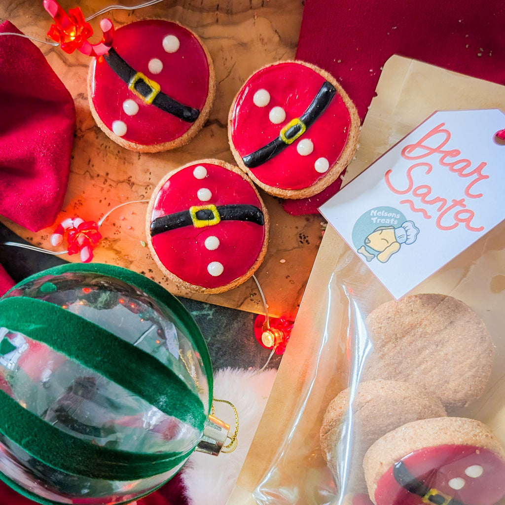 Santa Mini Iced Treats