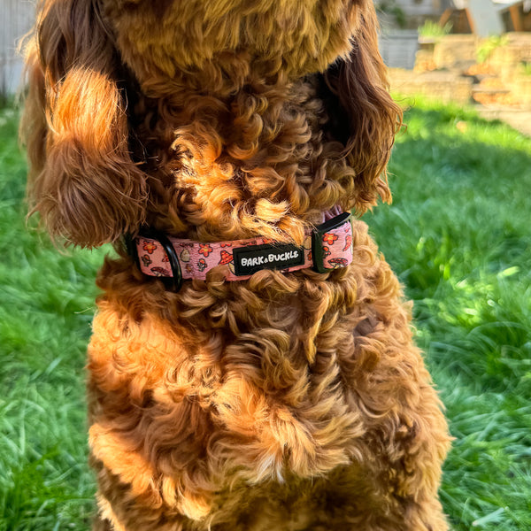 Mushbloom Collar