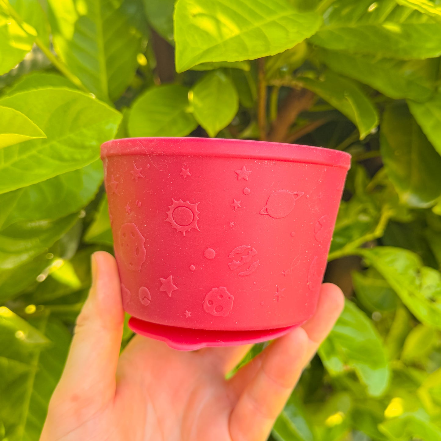 Enrichment Pot