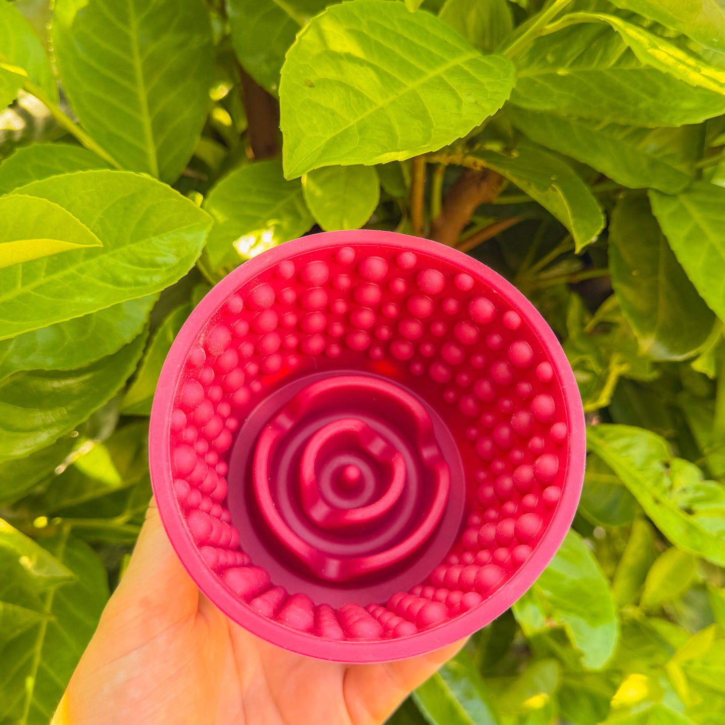 Enrichment Pot