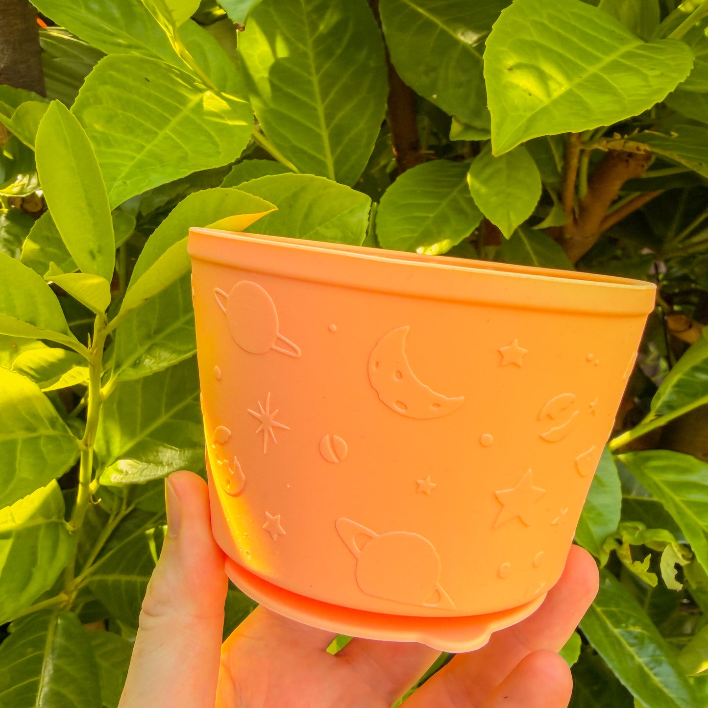 Enrichment Pot