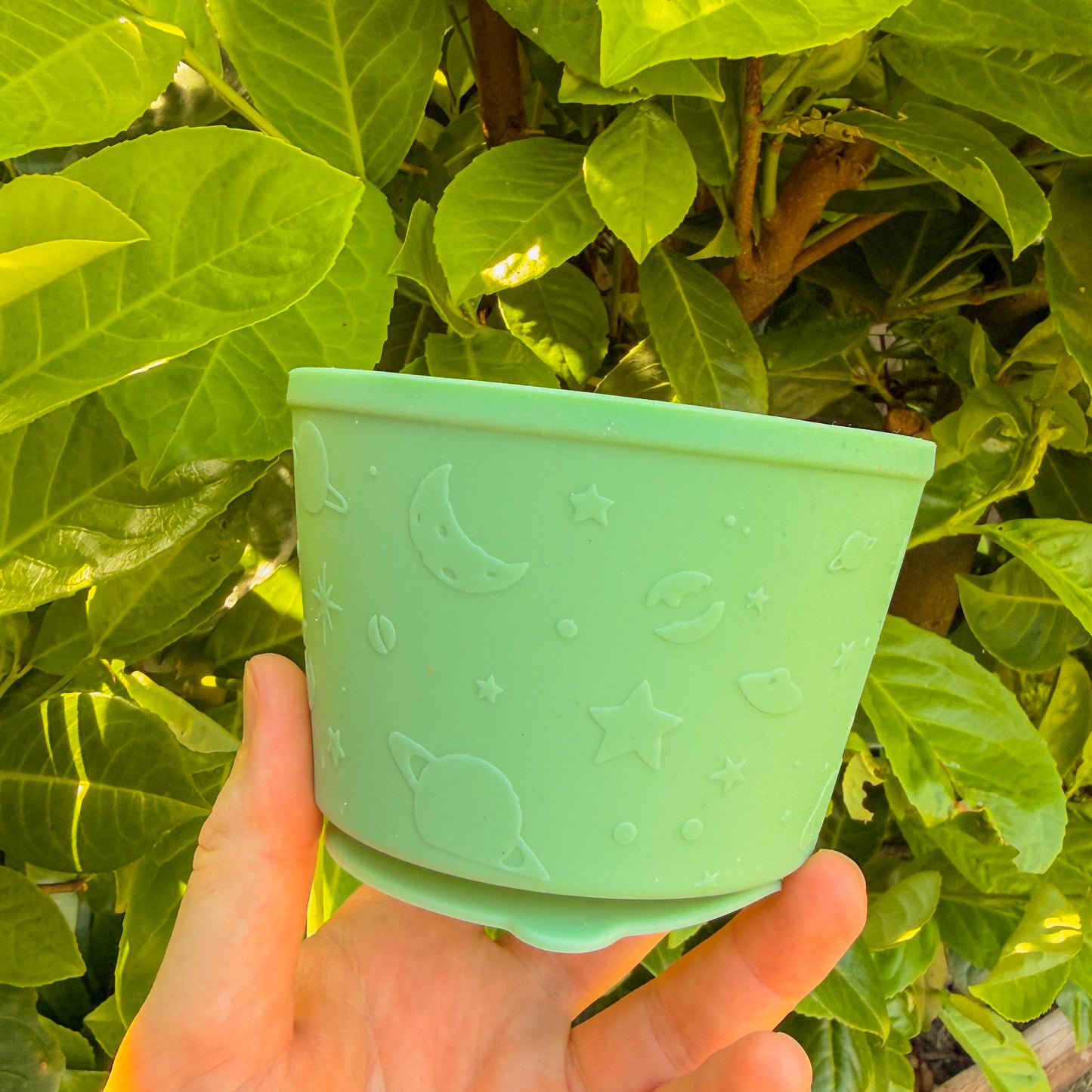 Enrichment Pot