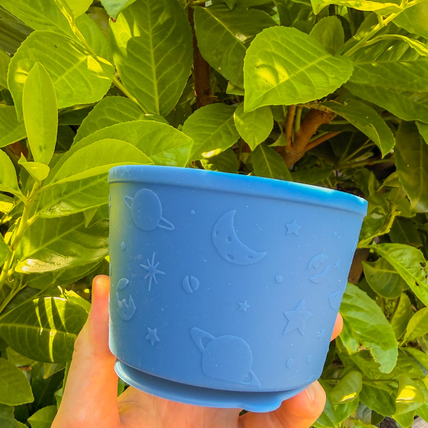 Enrichment Pot