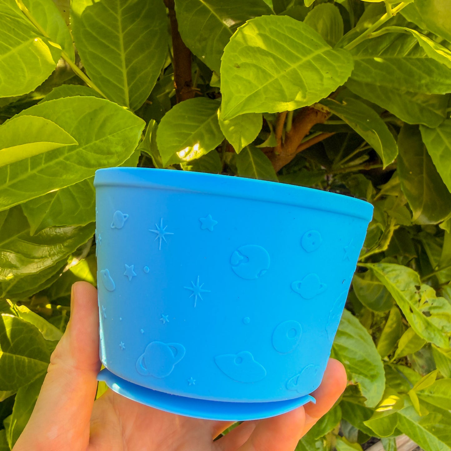 Enrichment Pot