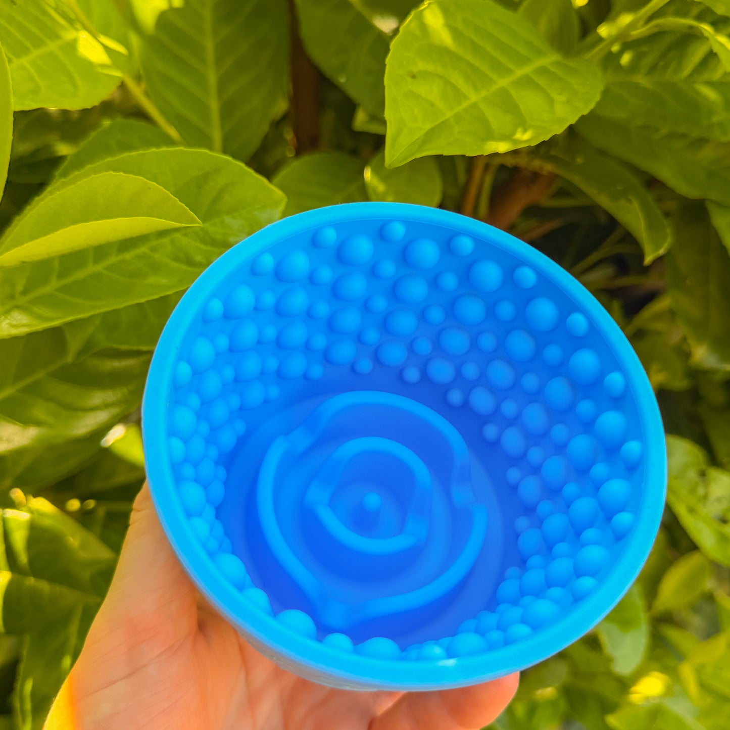 Enrichment Pot