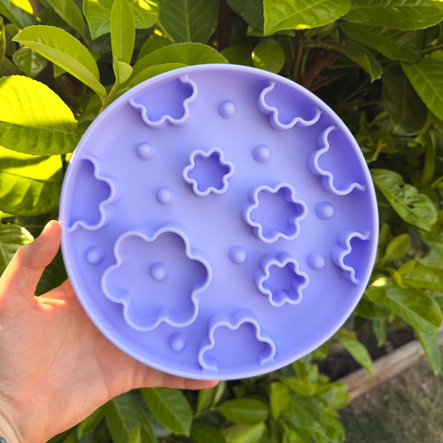 Enrichment Bowls