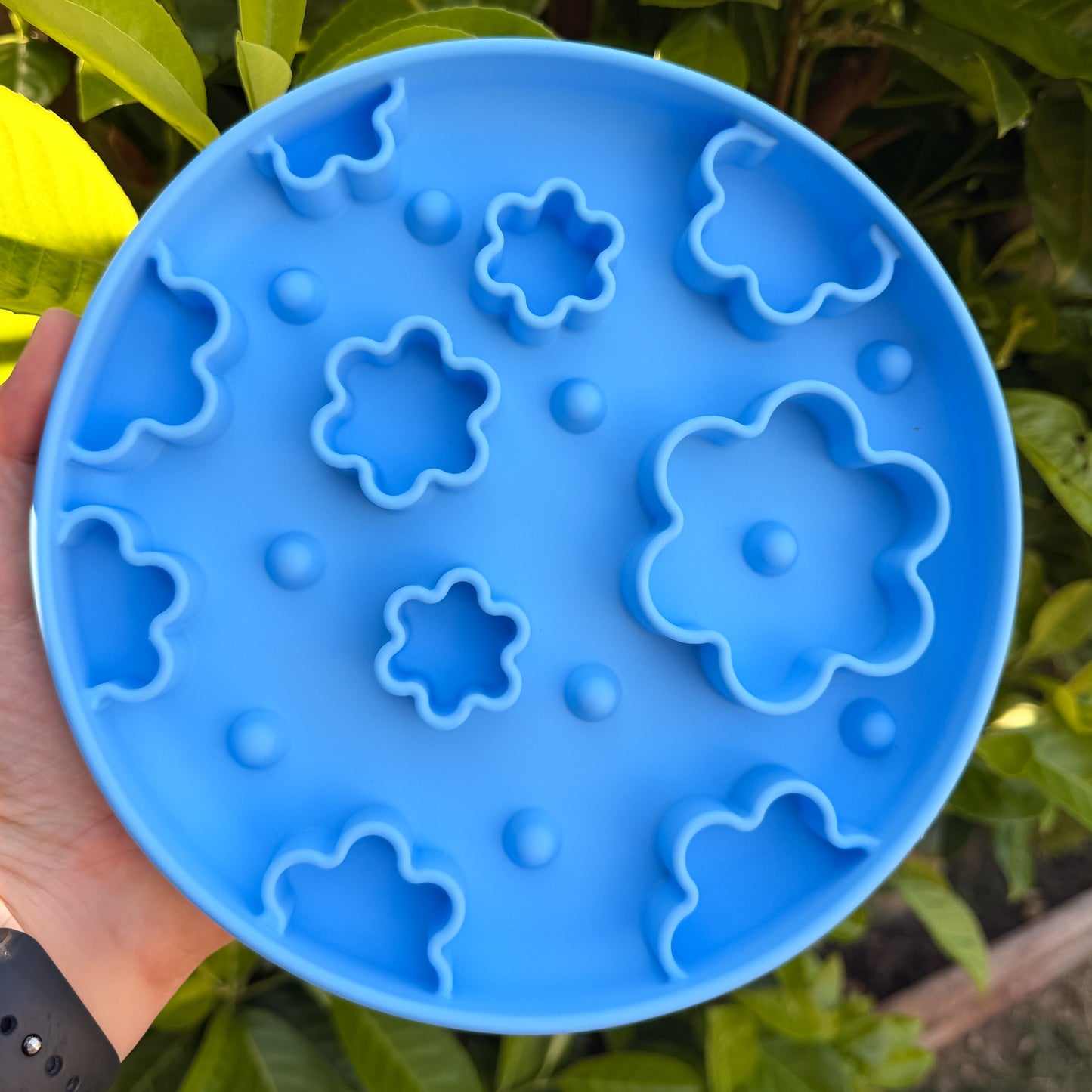 Enrichment Bowls