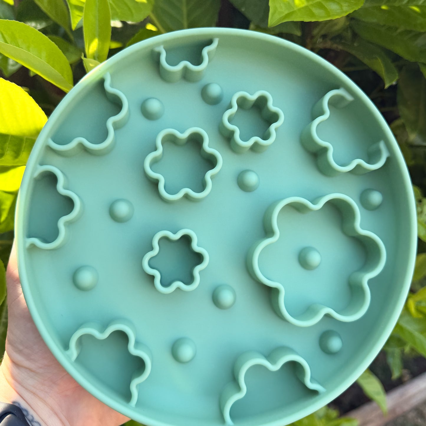 Enrichment Bowls