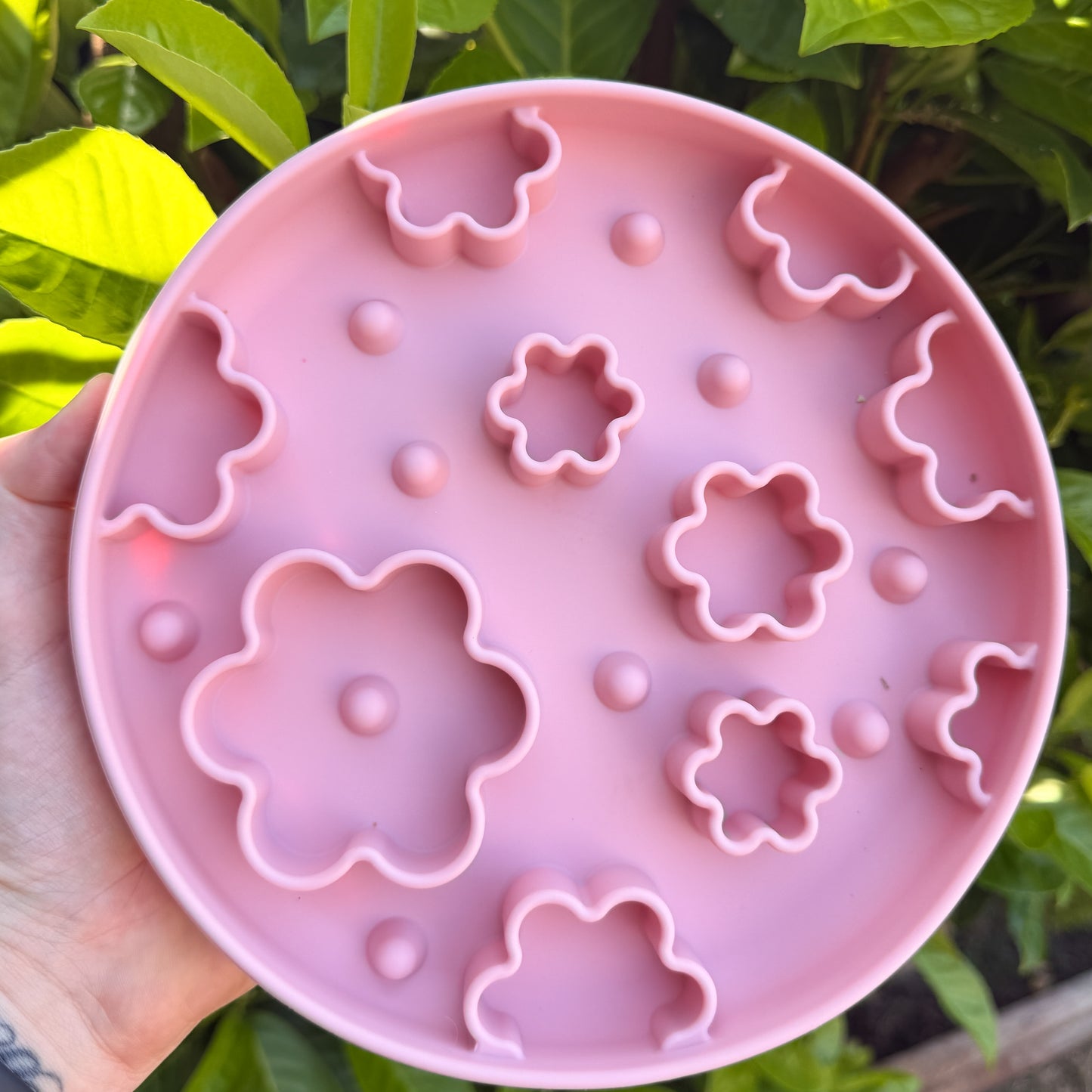 Enrichment Bowls