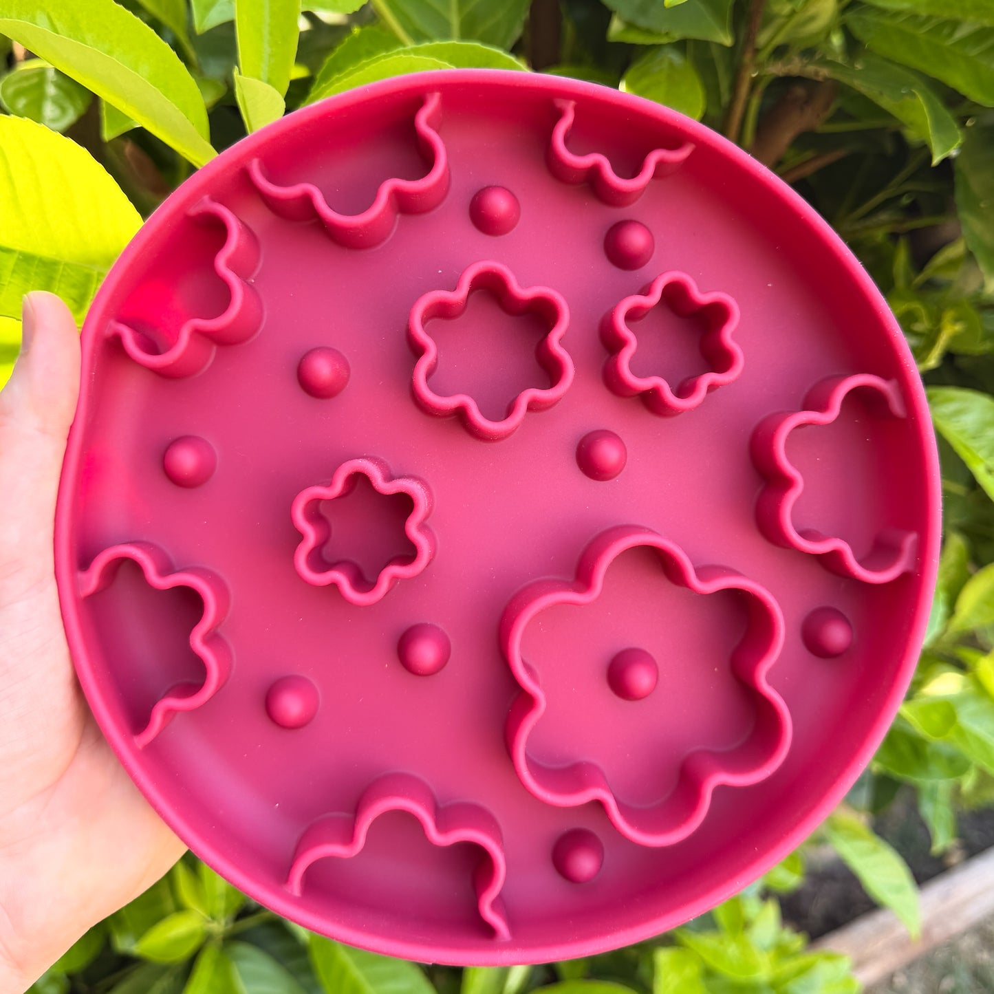 Enrichment Bowls