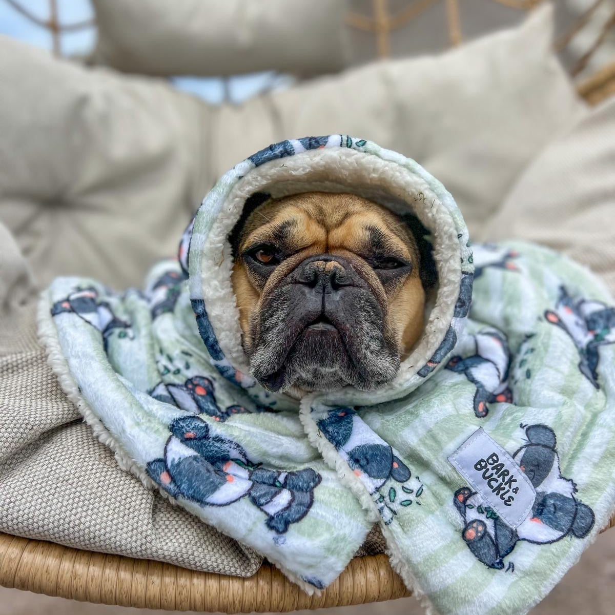 Bamboozled Panda Blanket